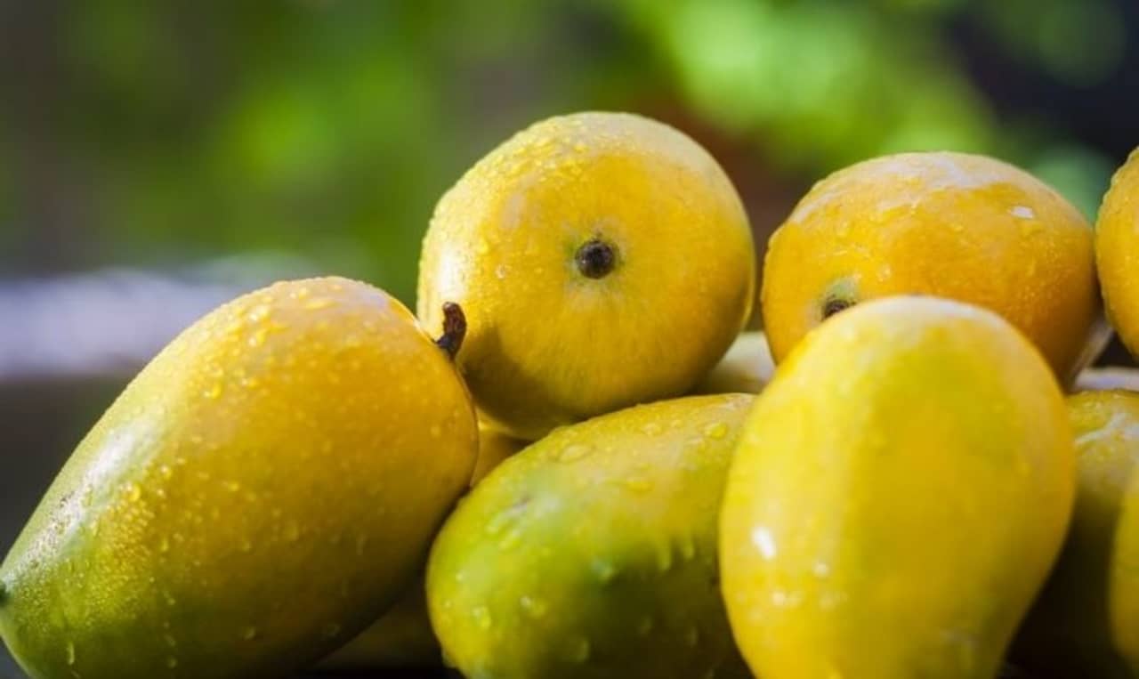 একটি আমের দাম ১,০০০টাকা! আফগান আম কিনতে আগে বুকিং করতে হয়