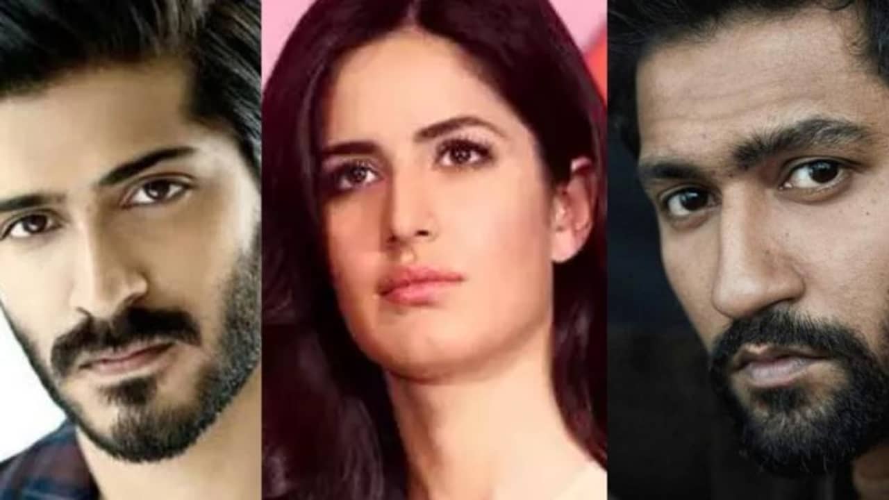 ভিকির সঙ্গে প্রেমের খবর ফাঁস! ক্যাটরিনার রোষানলে অনিল কাপুরের ছেলে?