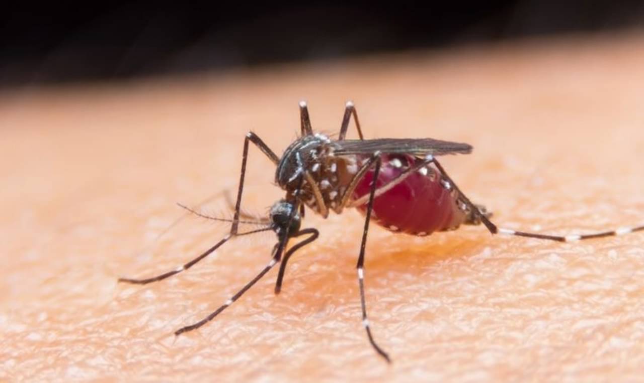 কোভিডের দোসর হতে পারে এই সমস্ত রোগ! সতর্কবার্তা চিকিৎসকদের