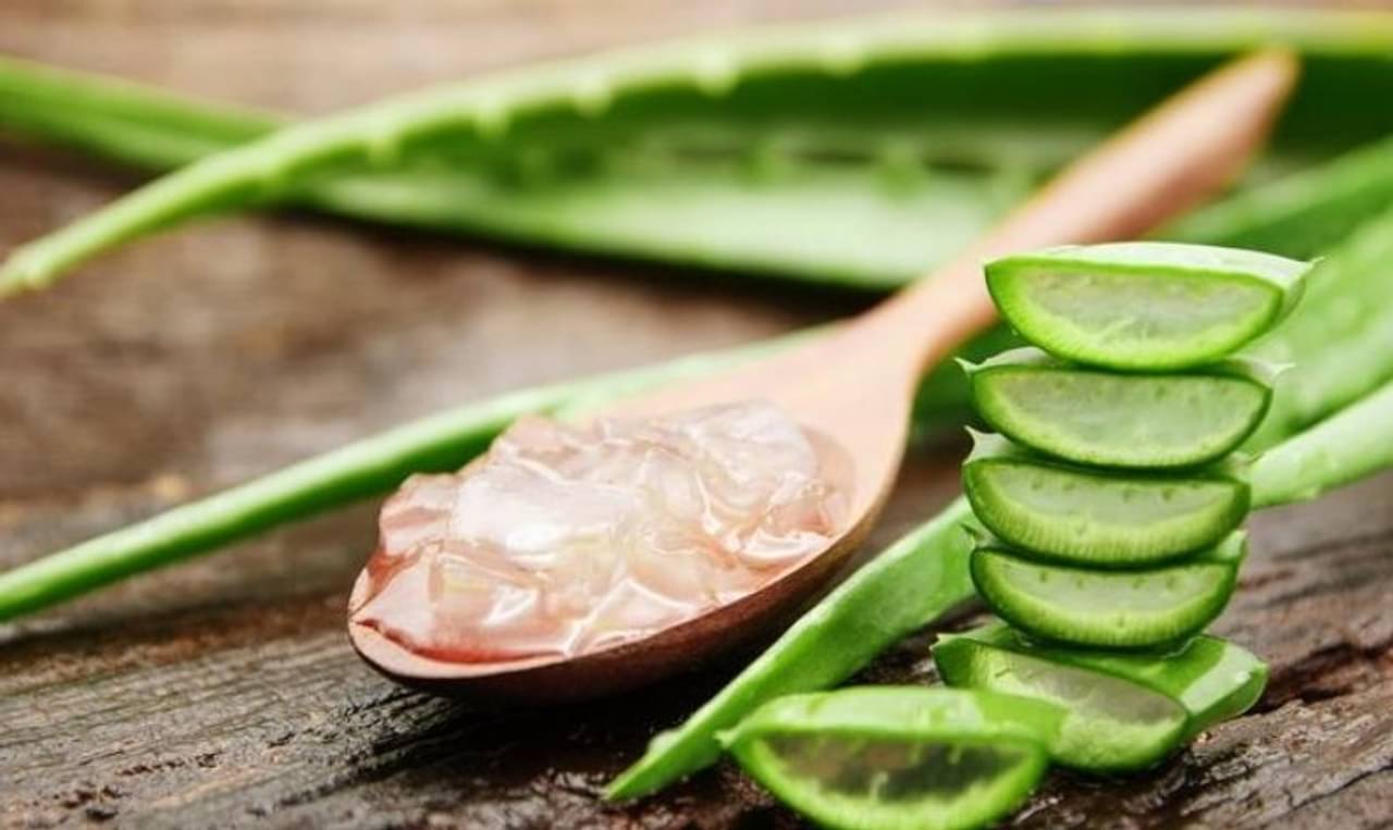 ত্বকের পরিপূর্ণ যত্নে অ্যালোভেরা ব্যবহার করবেন কীভাবে?