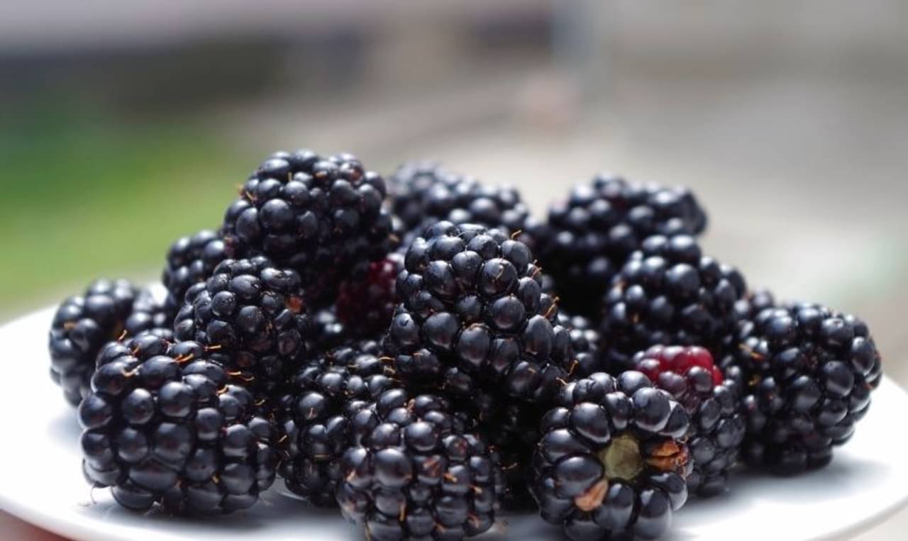 ক্যান্সারকে জব্দ করতে রোজকার ডায়েটে থাকুক এই ৫ কালো খাবার!