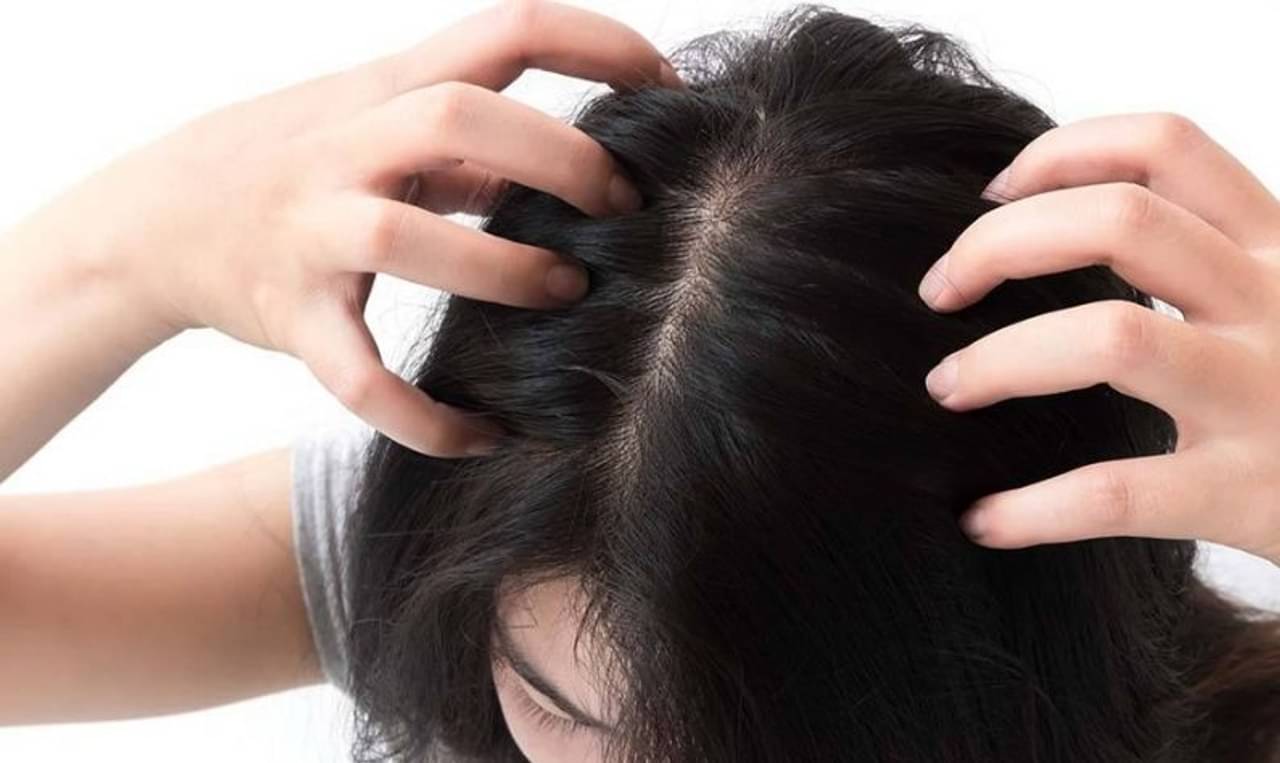 খুশকি ও চুল পড়ার সমস্যা থেকে মুক্তি পেতে সাবুদানা-রোজমেরির হেয়ার মাস্ক লাগান! ১ সপ্তাহ পরই ফল পাবেন