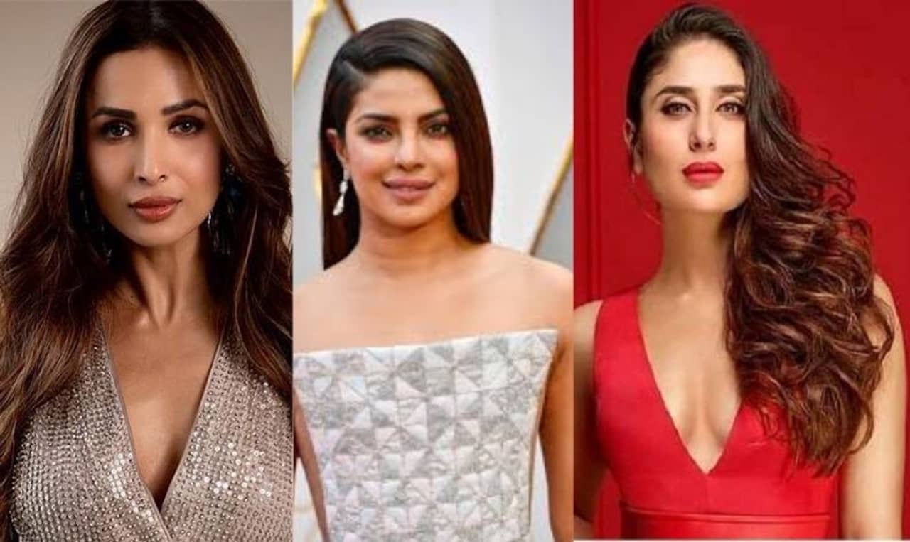 উজ্জ্বল ও সুস্থ ত্বকের জন্য ঘরোয়া টোটকাতেই ভরসা করিনা-মালাইকা-প্রিয়াঙ্কার! কে কেমন ফেস প্যাক ব্যবহার করেন, জানুন