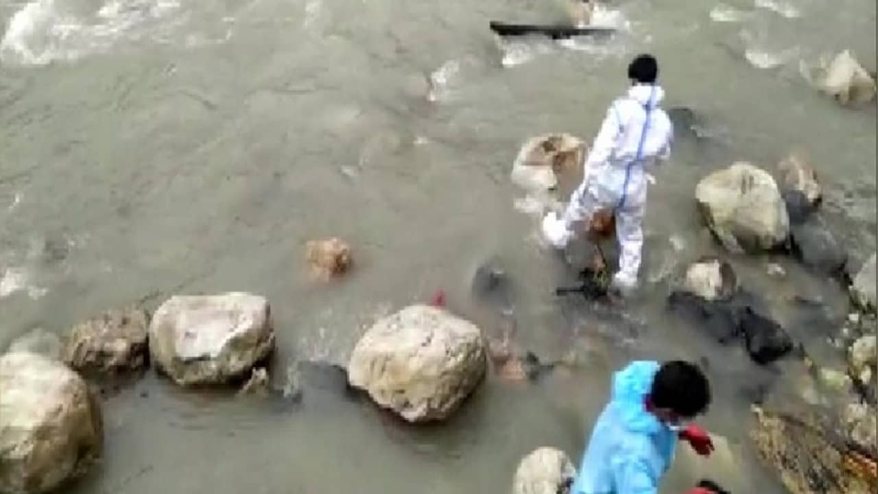 মৃতদেহ খুবলে খাচ্ছে কুকুর, ভয়াবহ দৃশ্যে শিহরিত দেশ