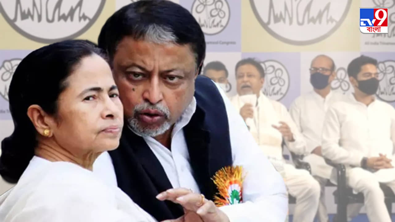 বিজেপিতে থাকা যায় না, ঘরের ছেলে ঘরে ফিরল, নরমপন্থী মুকুলকে পেয়ে বললেন মমতা