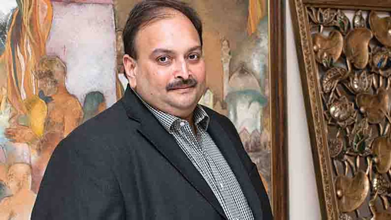 ব্যাঙ্কে ভুয়ো কাগজ দেখিয়েই ৬ হাজার কোটিরও বেশি হাতিয়ে নিয়েছিল চোকসির সংস্থা, জানাল সিবিআই