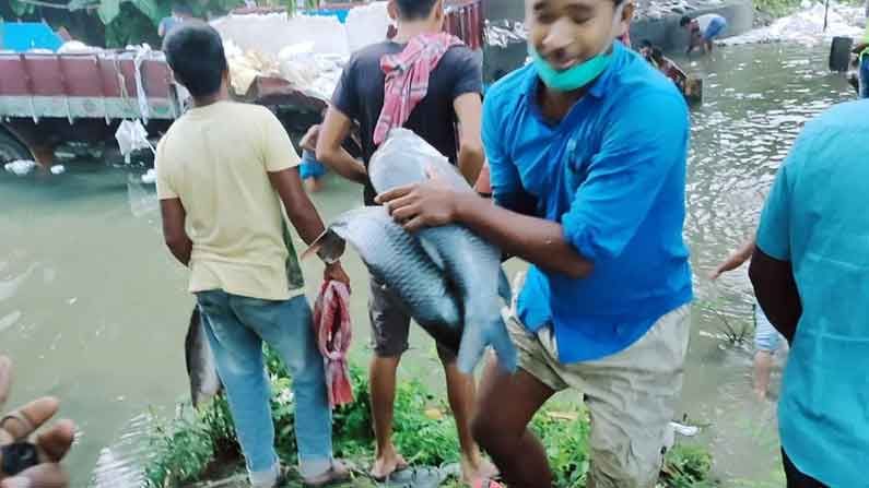 পেল্লাই রুই-কাতলা লুঠেই ব্যস্ত সকলে! পাশে ধুঁকতে ধুঁকতেই 'লাশ' হয়ে গেলেন জলজ্যান্ত মানুষটা...