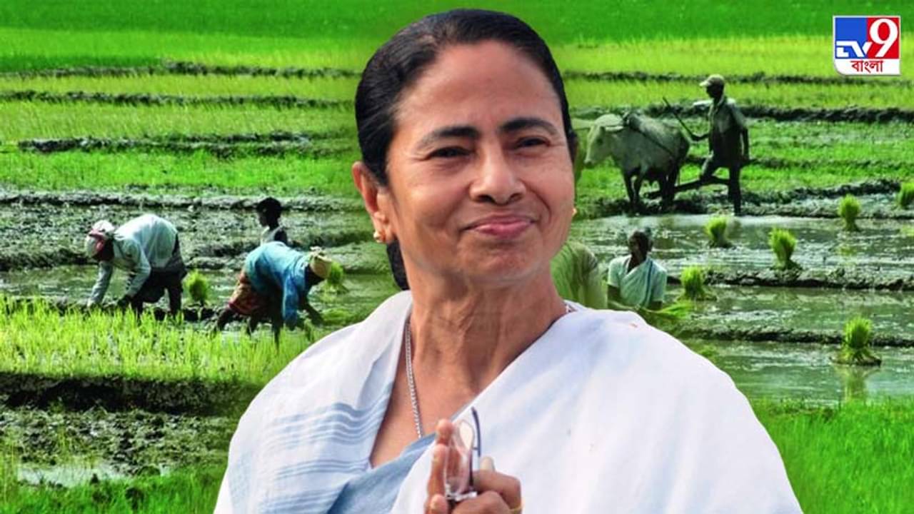 একর প্রতি ১০ হাজার, কৃষক বন্ধু ঘোষণা করে মমতা বললেন কথা রাখলাম
