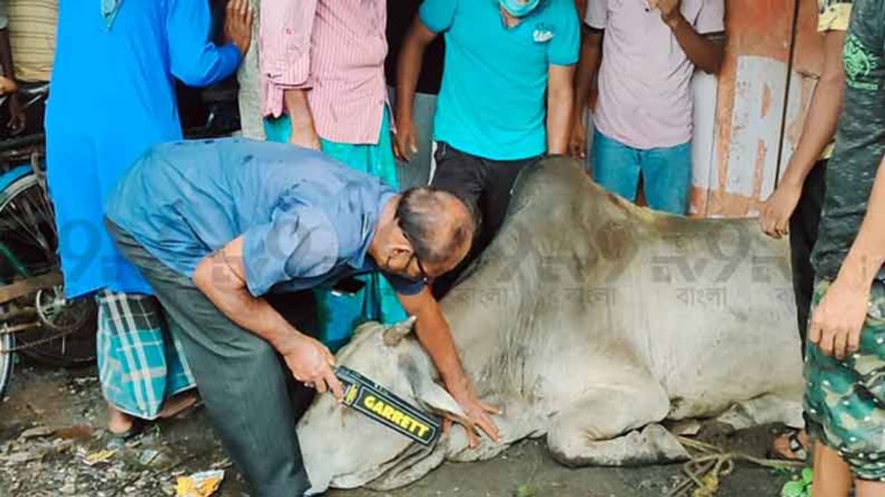 ধাতব কিছু গিলে ফেলেছে ভোলে বাবার পরম ভক্ত, আনা হল মেটাল ডিটেক্টর