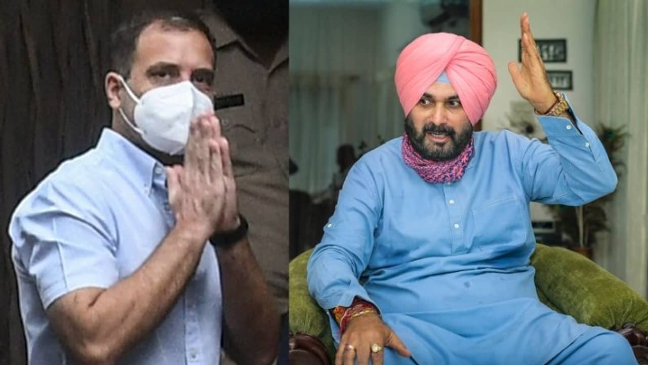 শীর্ষ নেতৃত্বের সঙ্গে দেখা করতে দিল্লিতে হাজির ক্ষুব্ধ সিধু, রাহুলের দাবি কোনও বৈঠক নেই!