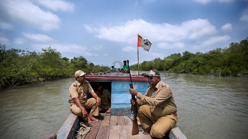 জোড়া কোটালের ভ্রুকুটি, উপকূল বাঁচাতে তৎপর বনকর্মীরা, পাশে 'শের'