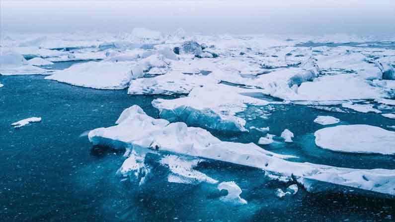 Arctic Last Ice Area: বিজ্ঞানীদের প্রত্যাশার আগেই গলতে শুরু করেছে উত্তর মেরুর এই এলাকার বরফ