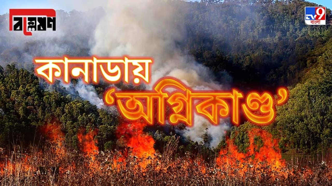 বিশ্লেষণ: ঝলসে যাচ্ছে কানাডা, মৃত্যু ৫০০ ছাড়িয়ে, কারণ কী?