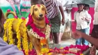 Viral Video: ওয়ার্ক ফ্রম ওয়েডিং! বিয়ের মণ্ডপে ল্যাপটপ নিয়ে হাজির বর, দেখুন ভিডিয়ো