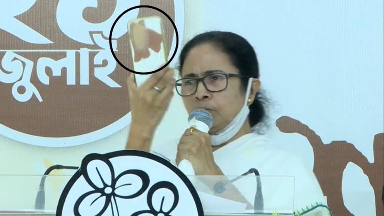 পেগাসাস...ফেরোসাস! ফোনের ক্যামেরা সিল করে মমতা বললেন, কেন্দ্রকে প্লাস্টার করে দাও