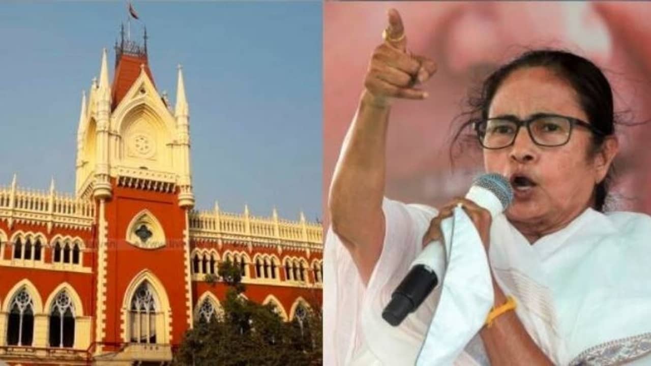 শাসকের ইচ্ছাই আইন, মানবাধিকার কমিশনের রিপোর্ট আদালতে, মমতা বললেন বদনাম করার চেষ্টা