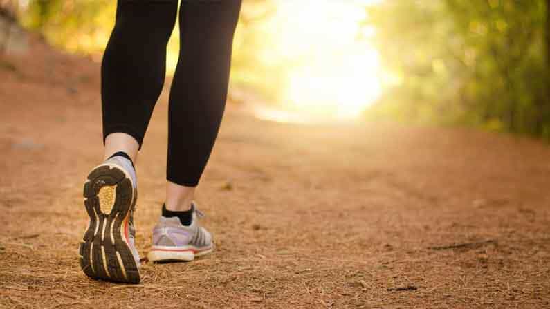Morning Walk: প্রতিদিন সকালে কেন হাঁটবেন? জানুন প্রাতঃভ্রমণের নয়টি গুণ