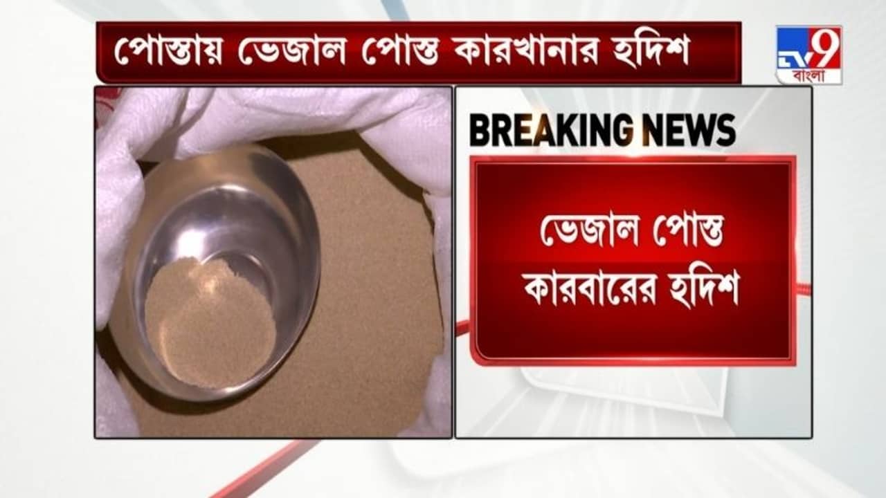 গলায় গামছা, গায়ে স্যান্ডো গেঞ্জি! ইডি কর্তার ফাঁদেই পা ভেজাল পোস্ত কারবারির