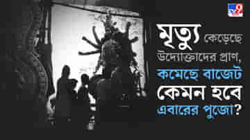 বাজেট নেই, আছে শুধু বাজে খবর; পুজো করার মন নেই কারও