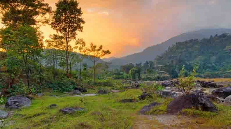 জঙ্গল মানেই হাতছানি। বনে ভ্রমণের মজাই আলাদা। 