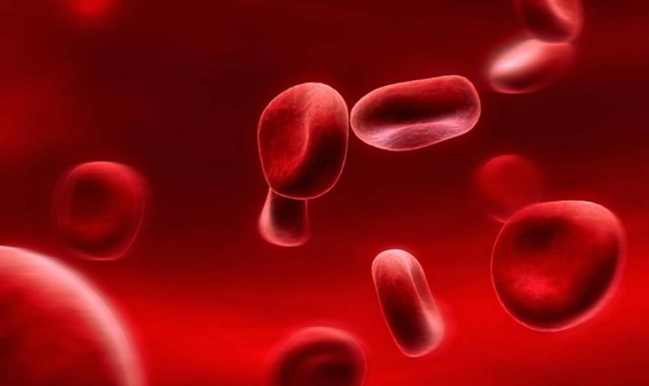 রক্তাল্পতা একটি মারাত্মক সমস্যা! ঘরোয়া উপায়ে রোগের প্রতিকার পেতে কী কী করবেন