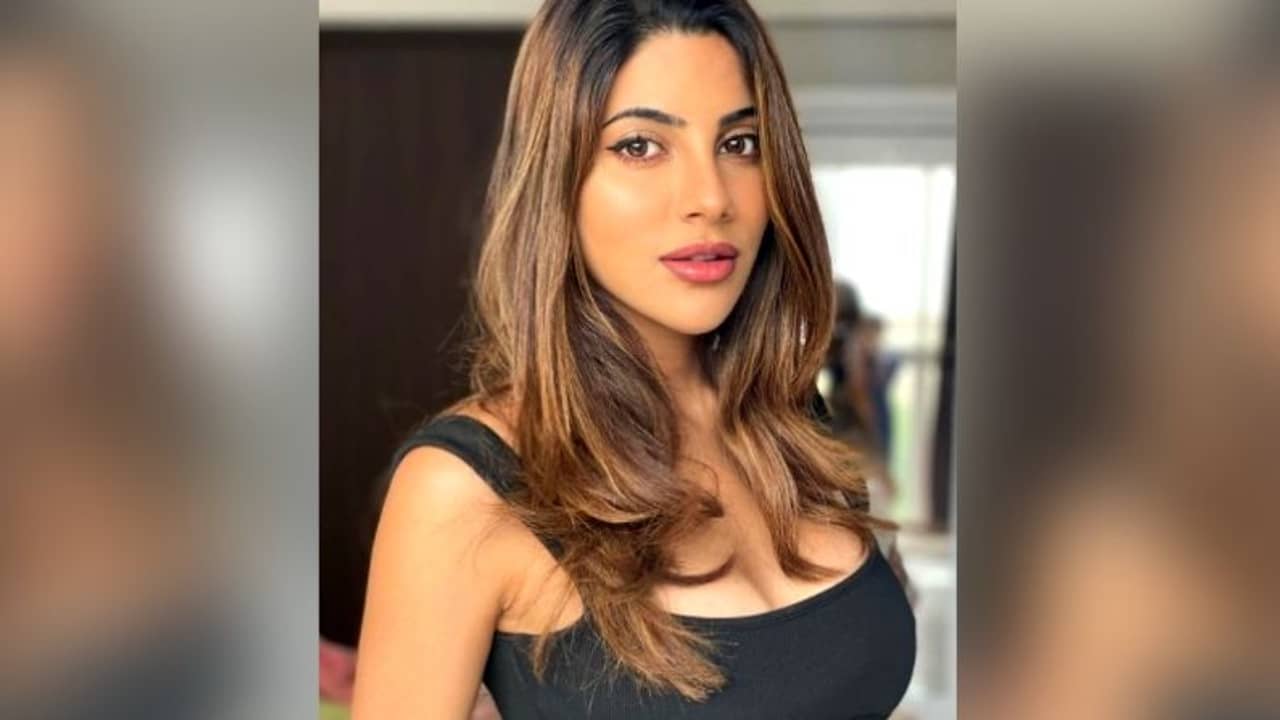 মনের মতো পাত্র পেলে এখনই বিয়ে করতে রাজি নিক্কি, তবে একটা শর্ত রয়েছে