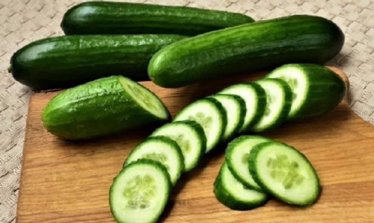 ছুটির দিন গরম ভাতের সঙ্গে পাতে পড়ুক শশা পোস্ত ! বানাবেন কীভাবে?