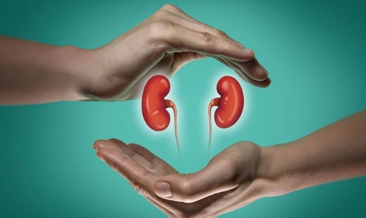 কিডনির মারাত্মক সমস্যা দূর করতে এই ৫ ঘরোয়া উপায়েই মিলবে দিশা!