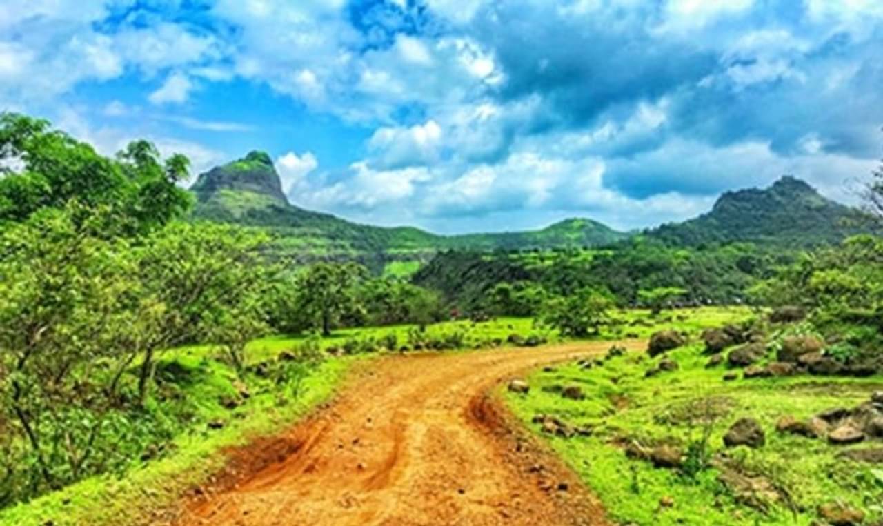 হাতের নাগালেই রয়েছে জঙ্গল সফরের সুযোগ! কলকাতার অদূরেই মিলবে শান্তির ঠিকানা