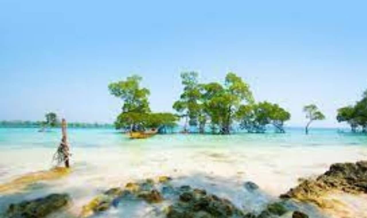 ছুটিতে আন্দামান যাবেন নাকি? বাধ্যতামূলক কোয়ারান্টিন বিধিগুলি জেনে নিন একনজরে...