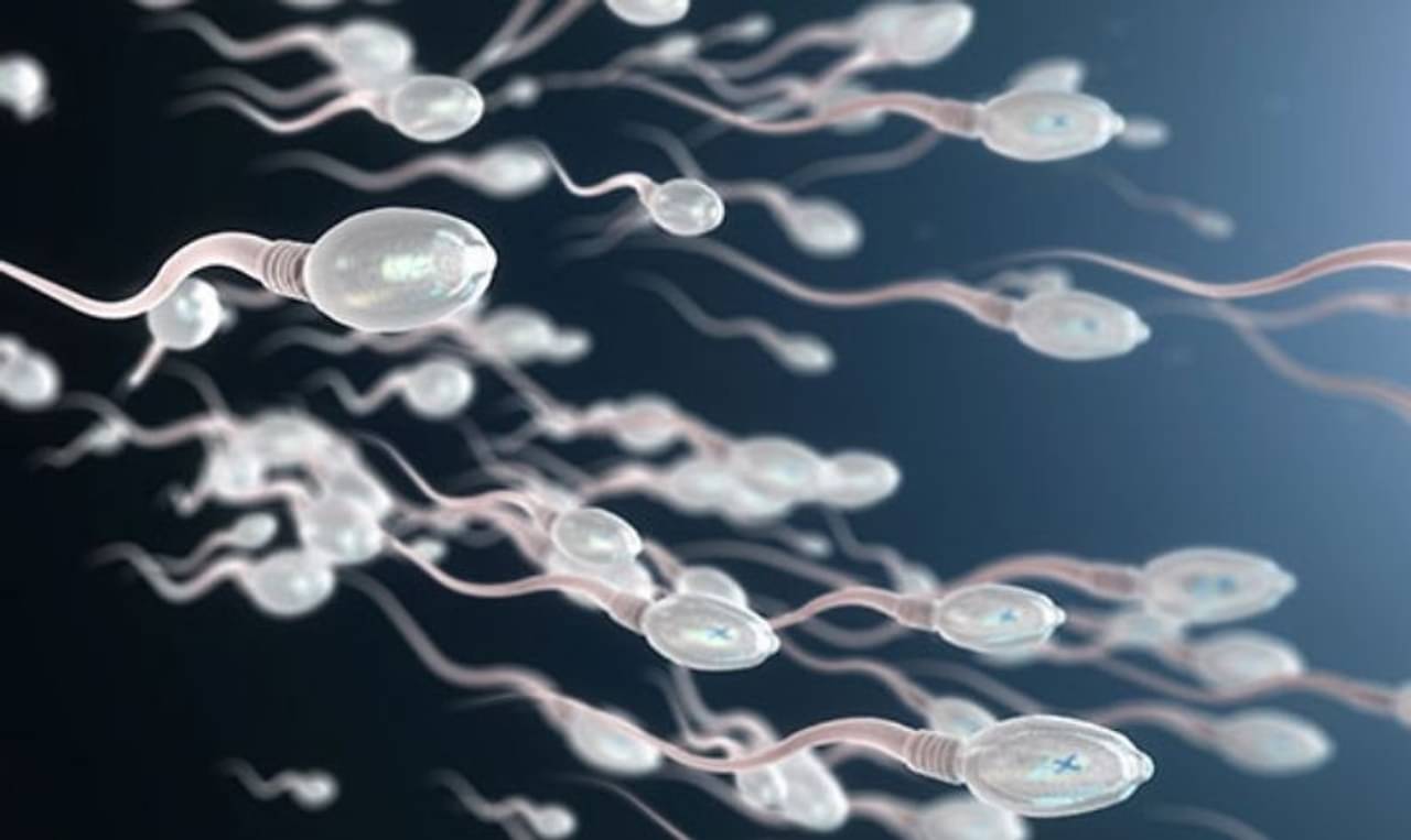 স্পার্ম কাউন্ট কম হলে বুঝবেন কীভাবে? শুক্রাণু সংখ্যা বৃদ্ধির ৬ উপায়গুলি জেনে নিন