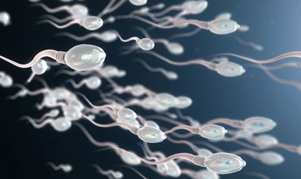 Jinsiy aloqa: Chol yosh ayolni sikishini onlayn tomosha qiling Porno aktrisalar intiluvchan suratlari