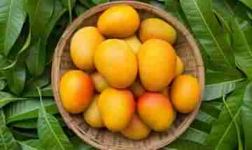 National Mango Day 2021: আম তো খান, কিন্তু আমের ইতিহাস জানা আছে? রইল আম নিয়ে কিছু অজানা তথ্য়...