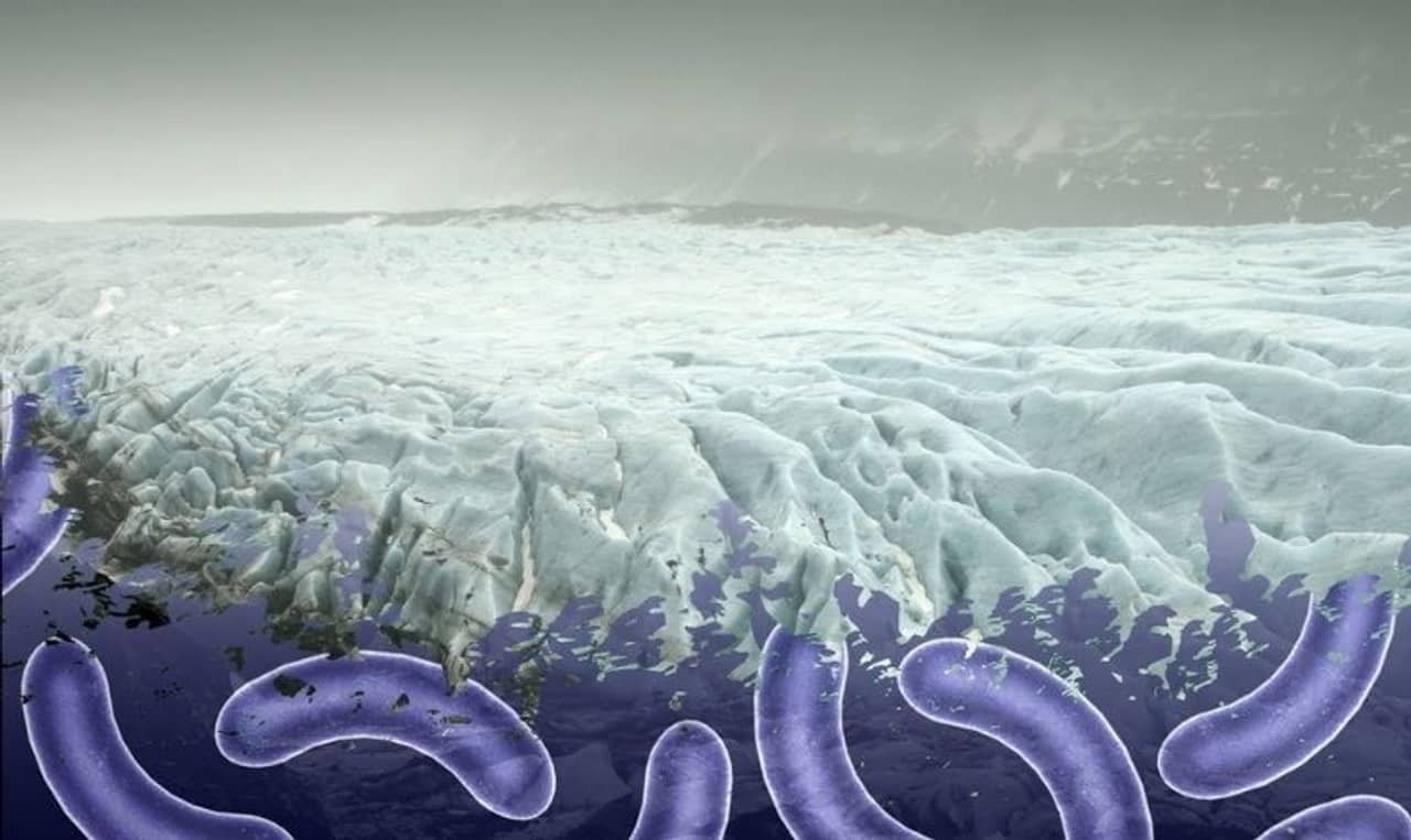 করোনা আবহে ফের ভাইরাস আতঙ্ক! তিব্বতে হিমবাহের নীচে মিলল ১৫ হাজার বছরের পুরনো ভাইরাস!