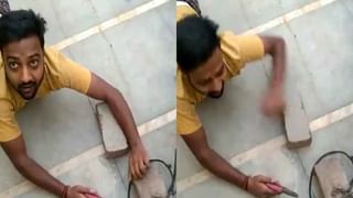 Viral Video: মুখ দিয়ে বোতল খুলে মদ খাচ্ছে বাঁদর! ভিডিয়ো ভাইরাল সোশ্যাল মিডিয়ায়