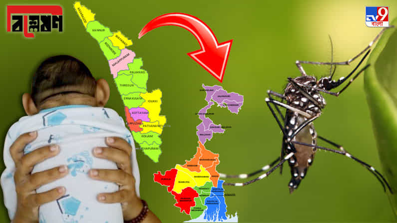 কেরল থেকে কলকাতা আসতে কতক্ষণ? 'জ়িকা' নিয়ে কতটা প্রস্তুত বাংলা?