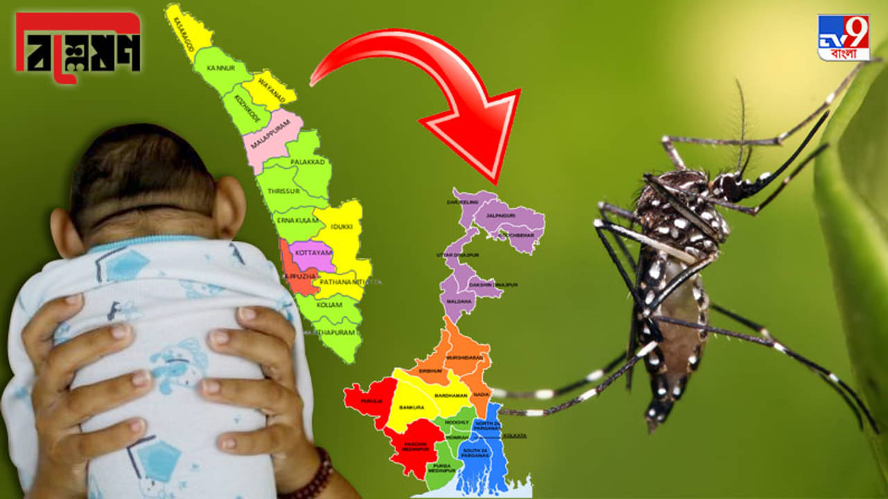 কেরল থেকে কলকাতা আসতে কতক্ষণ? জ়িকা নিয়ে কতটা প্রস্তুত বাংলা?