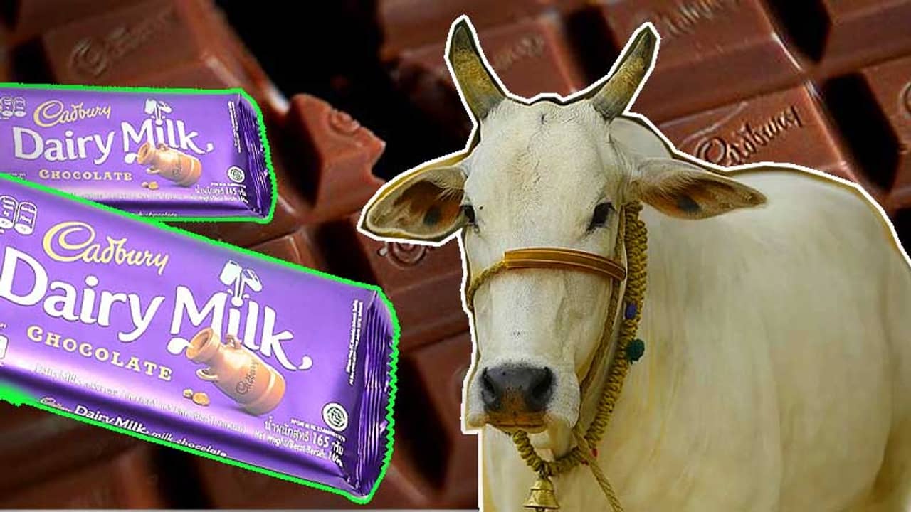 Cadbury: ক্যাডবেরিতে গোমাংস! বয়কটের দাবিতে উত্তাল নেটমাধ্যম