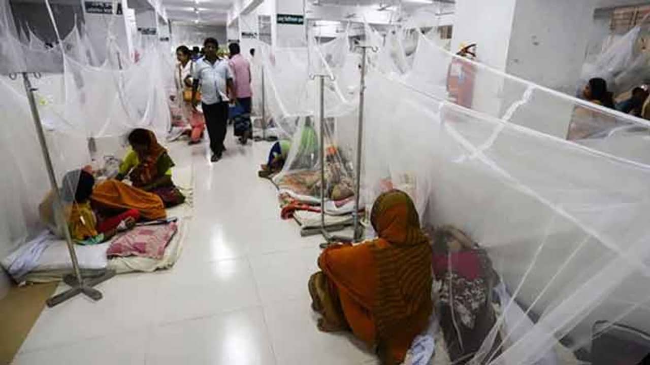 ডেঙ্গু নিয়ে একদিনে রেকর্ড সংখ্যক শিশু ভর্তি হাসপাতালে, ২০১৯র পর ফের বাংলাদেশে মশাবাহিত রোগের বাড়বাড়ন্ত