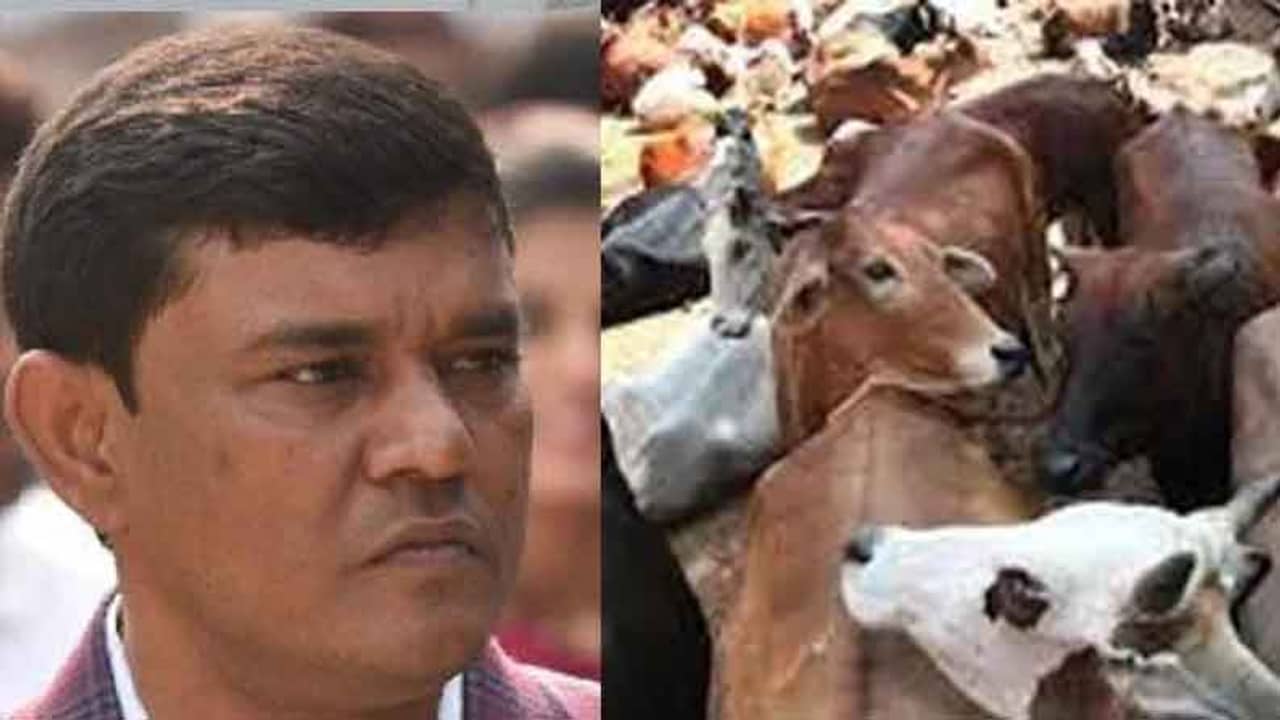 Enamul Haque: সাক্ষীদের প্রভাবিত করতে পারেন, গরুপাচার-কাণ্ডে ফের জামিন খারিজ এনামুলের