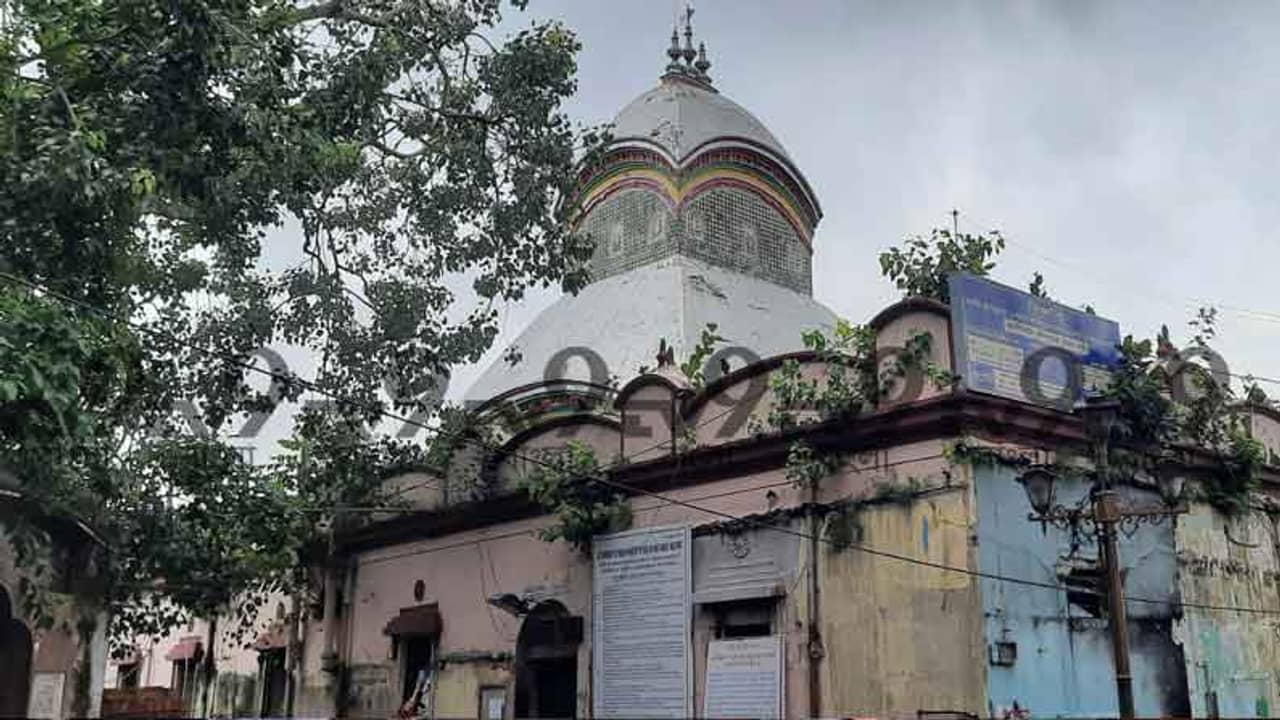 Kalighat: দুমাস পার করে খুলল কালীঘাট মন্দিরের গর্ভগৃহ, বৃষ্টি উপেক্ষা করেই সকাল থেকে ভক্তের ভিড়