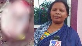 রাস্তার ওপর পড়ে রক্তমাখা ভ্রূণ! ঘুরে বেড়াচ্ছে পিঁপড়ে রাস্তার ওপর পড়ে রক্তমাখা ভ্রূণ! ঘুরে বেড়াচ্ছে পিঁপড়ে