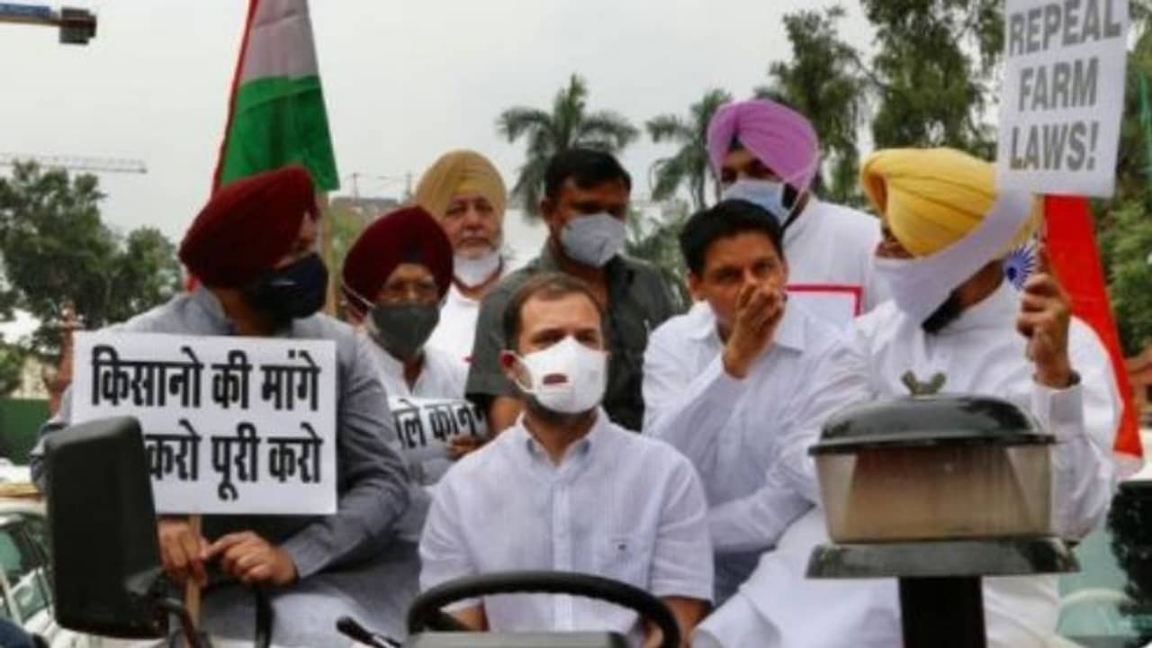 কৃষকদের বার্তা সংসদে নিয়ে এলাম, ট্রাক্টরের চালকাসনে রাহুল, সংসদে ঢুকেই আইন প্রত্যাহারের দাবি