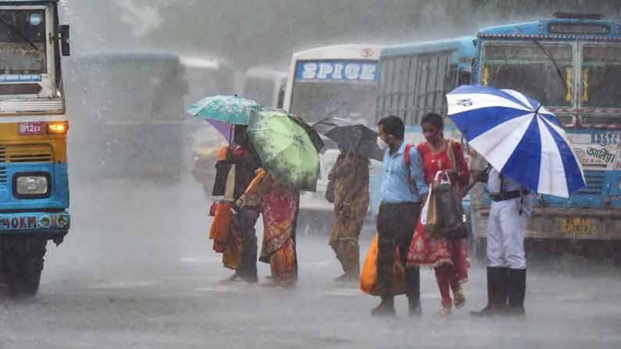 WB Weather Update: প্রবল বর্ষণ আজও! কোন কোন জেলা ভাসবে, জানিয়ে দিল হাওয়া অফিস