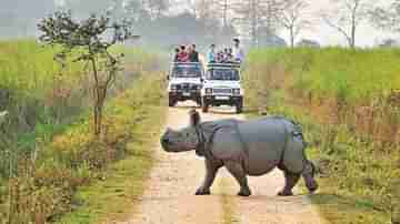 Assam Travel: অসমে ঘুরতে যাবেন? আপনার ভ্যাকসিনের দুটো ডোজ় নেওয়ার পরেও কোভিড টেস্ট করাতে হবে