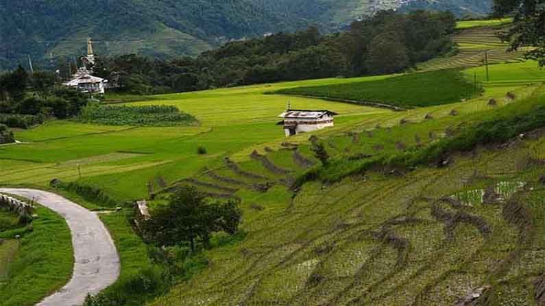 ziro- অরুণাচল প্রদেশের এই জায়গায় রয়েছে সুবিস্তৃত তৃণভূমি। সেই সঙ্গে রয়েছে পাহাড়ের সৌন্দর্য্য। বেশিরভাগ জায়গা এখনও আবিষ্কারই হয়নি। তাই ভারতের অফবিট ডেস্টিনেশনের মধ্যে অন্যতম হল অরুণাচলের ziro। 