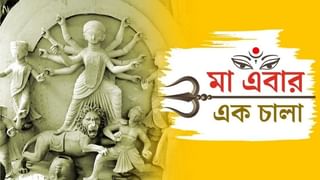 বিশ্ব ম্যানগ্রোভ বাস্তুতন্ত্র দিবস: বিশেষ প্রতিবেদন