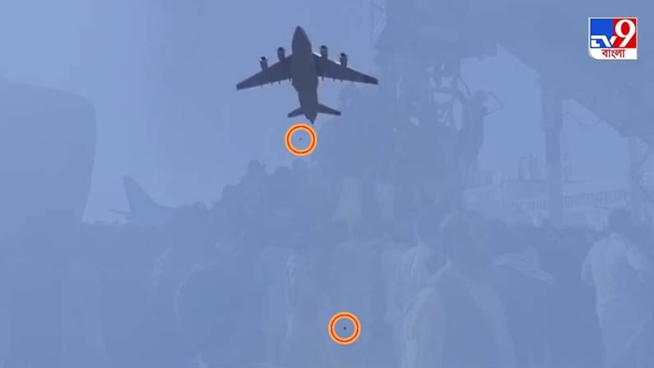 ভিডিয়ো: টায়ার আঁকড়েই দেশ ছাড়ার আপ্রাণ চেষ্টা, মাঝ আকাশ থেকে পড়ে মৃত ৩