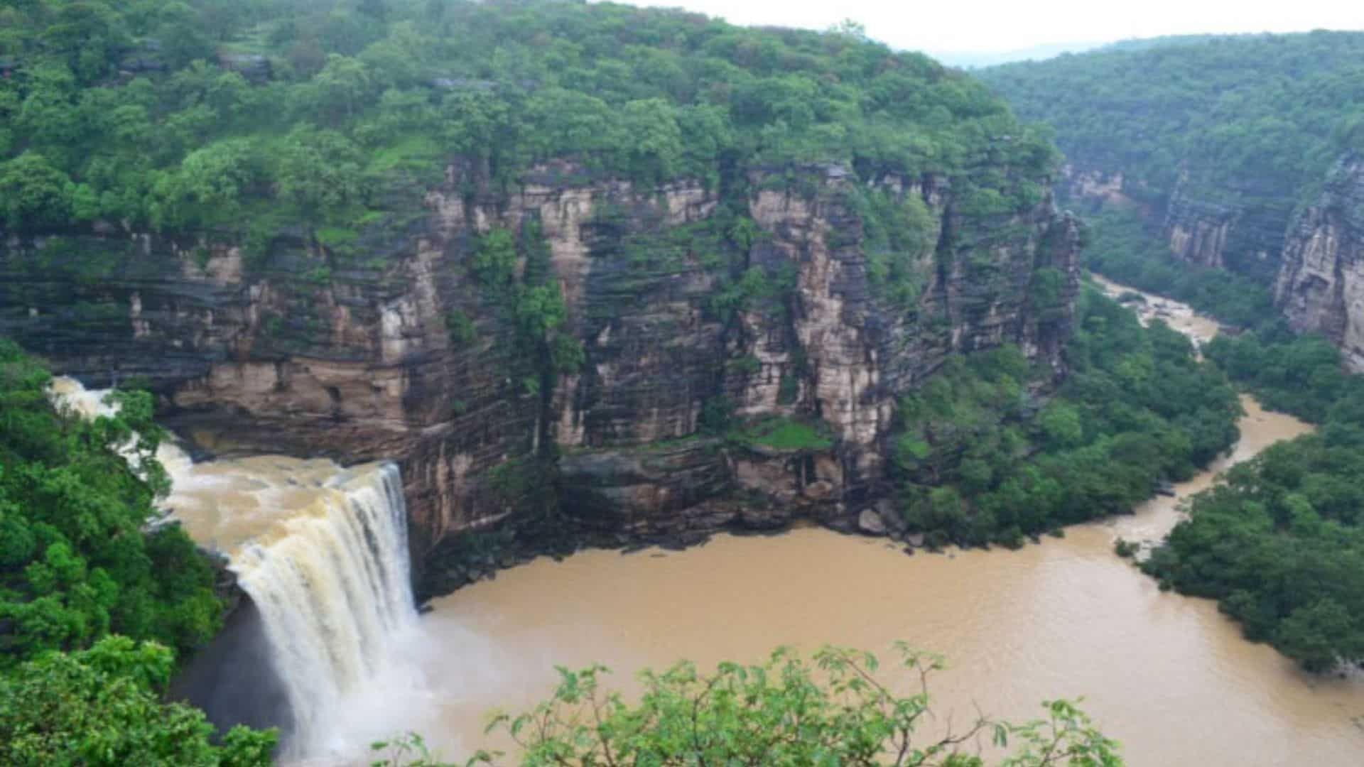 ১৯৫৮ সালে চন্দ্রপ্রভা অভয়ারণ্যে সিংহ আনা হয়েছিল। তখন থেকে, অভয়ারণ্যটি শক্তিশালী প্রাণীদের আবাসস্থল।