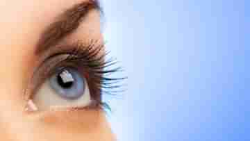 Eye Care Tips: বর্ষাকালে চোখের বিশেষ যত্ন নিন, নয়তো ভয়ঙ্কর ক্ষতি হতে পারে